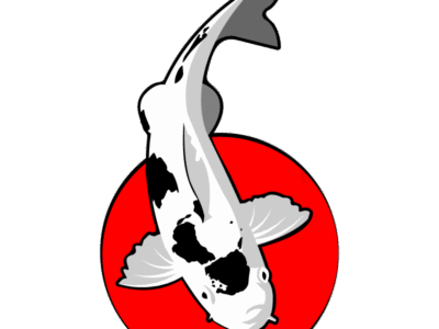 KOICentrum - Oczka wodne